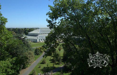 Kew Gardens Rhizotron and Xstrata Treetop Walkway