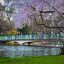 Старейший королевский парк – Сент Джеймс в Лондоне